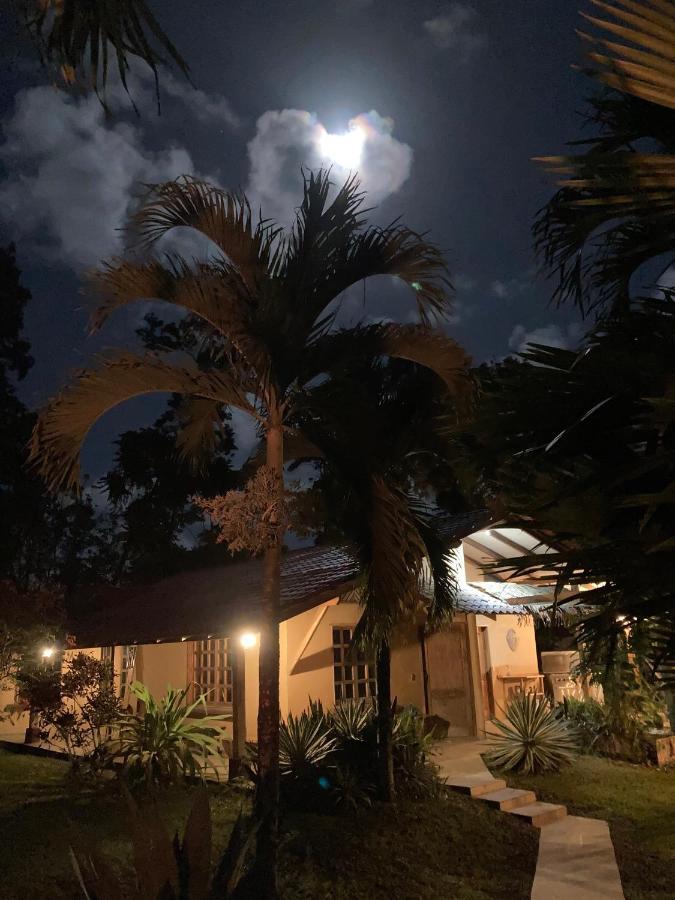 Hotel Pura Vida Vegana Cahuita Exterior foto